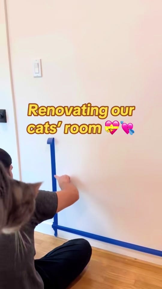 Post 2 by Renovating Our Home on TikTok (video)