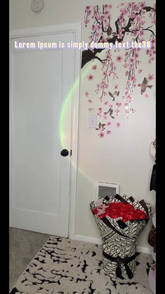 Post 6 by Cindyy on TikTok (video)