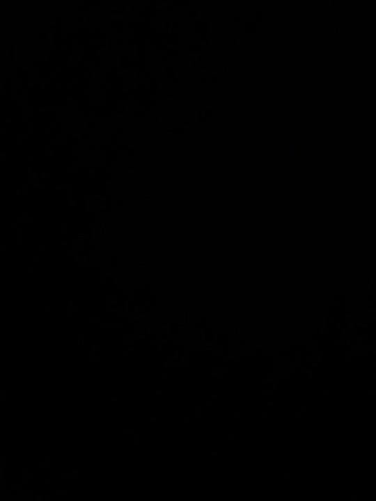 Post 8 by Kam on TikTok (video)