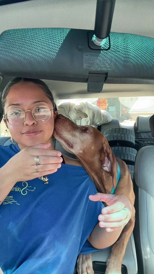 Post 4 by Linda Villatoro on TikTok (video)