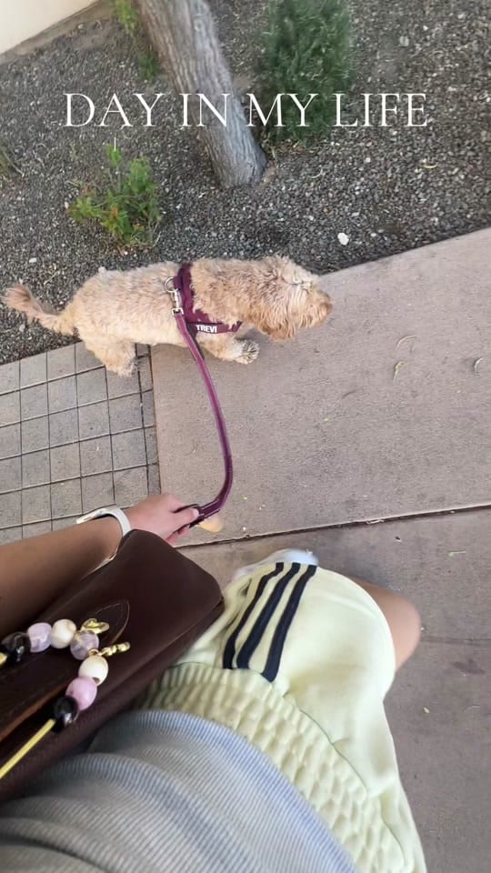 Post 7 by Allie George on TikTok (video)