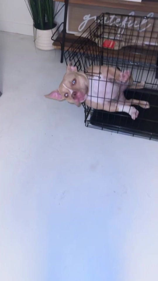 Post 10 by BO 🫐 on TikTok (video)