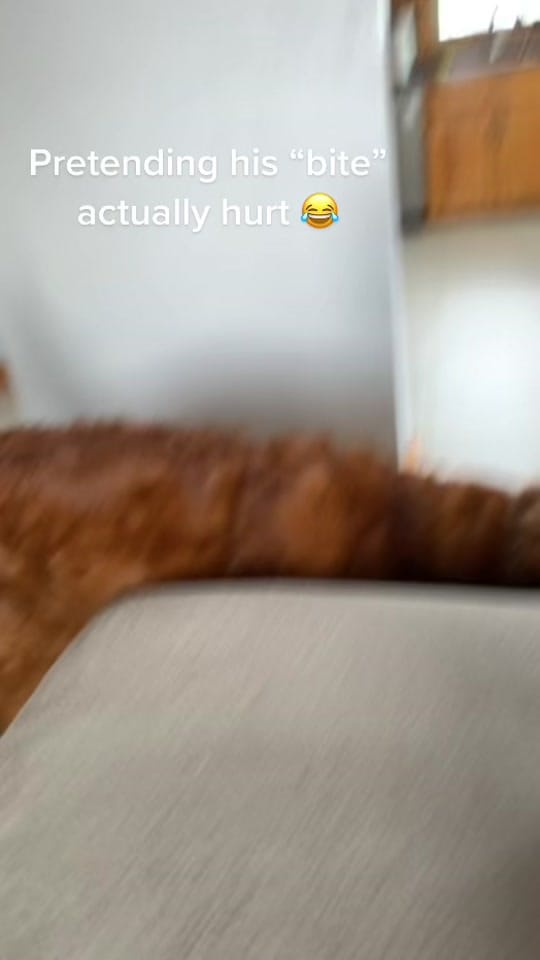 Post 9 by Morgan Ashley ✨ on TikTok (video)