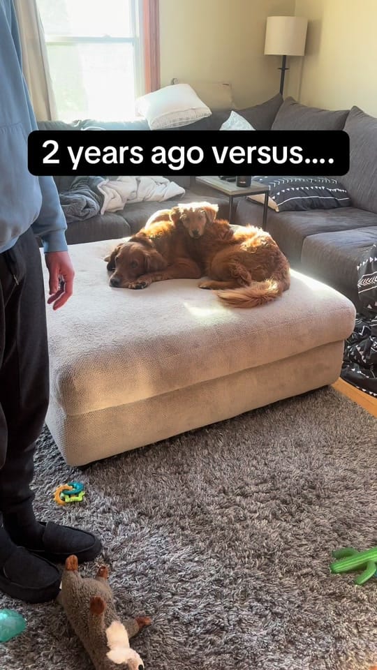 Post 6 by Morgan Ashley ✨ on TikTok (video)