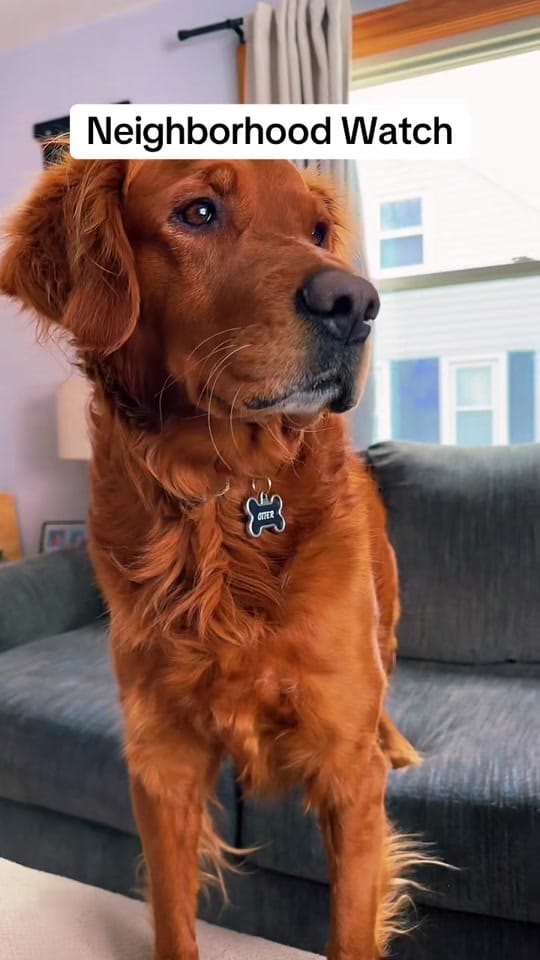 Post 3 by Morgan Ashley ✨ on TikTok (video)