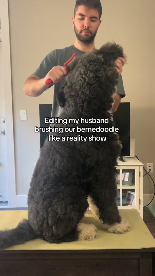 Post 1 by The.OTLatina on TikTok (video)