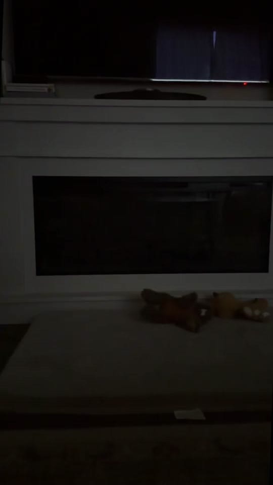 Post 10 by Krista Gabrielle on TikTok (video)
