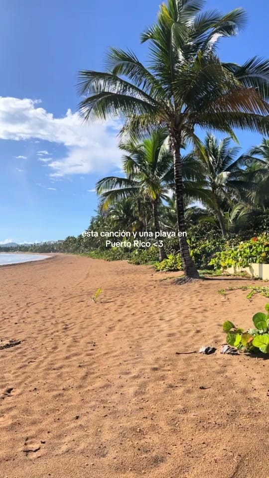 Post 10 by mimialasc on TikTok (video)