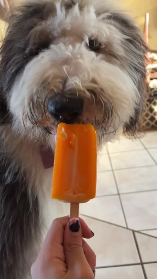 Post 1 by mimialasc on TikTok (video)