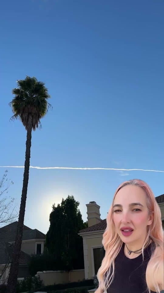 Post 8 by Dani Klass on TikTok (video)