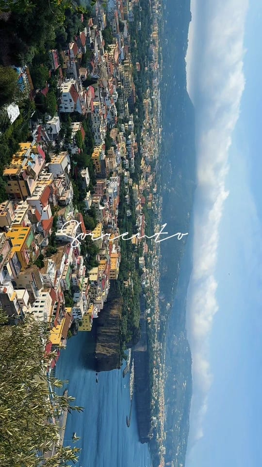 Post 7 by Catarina 🦋 San Francisco on TikTok (video)