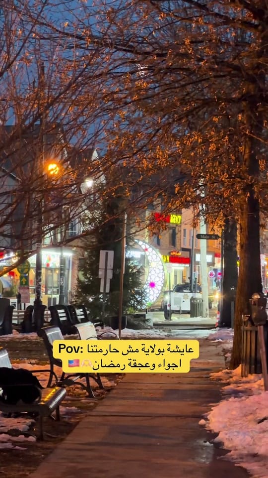 Post 5 by Rasha photographer🇺🇸🇵🇸 on TikTok (video)