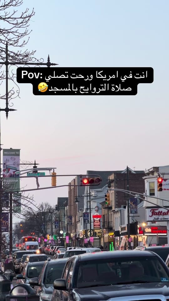 Post 3 by Rasha photographer🇺🇸🇵🇸 on TikTok (video)