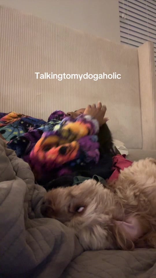 Post 9 by Nysha on TikTok (video)