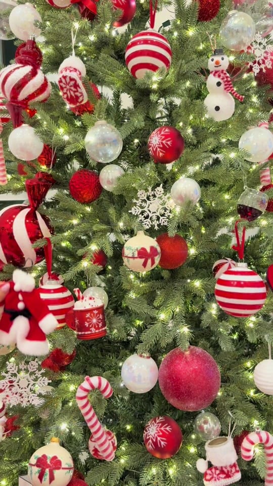 Post 3 by Rebecca Ghaderi on TikTok (video)
