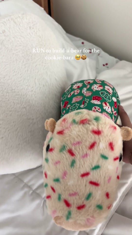 Post 9 by daniela 𖦹☼⋆｡˚⋆ฺ♡ on TikTok (video)
