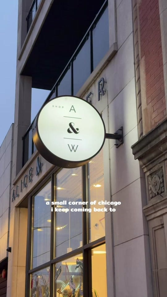 Post 3 by Sri | Chicago Influencer on TikTok (video)