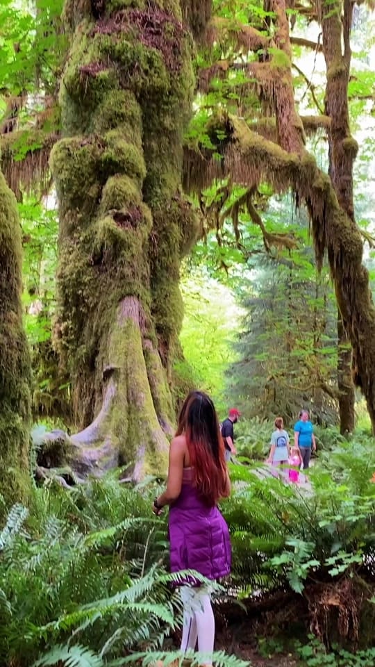 Post 1 by MeetMoons | Travel Blogger on TikTok (video)
