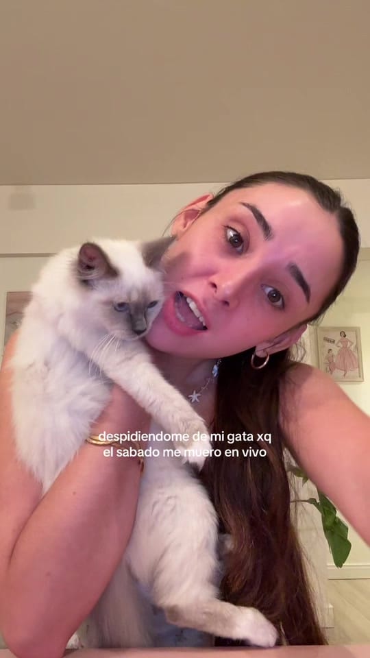 Post 7 by valentina sousa 🌺 on TikTok (video)