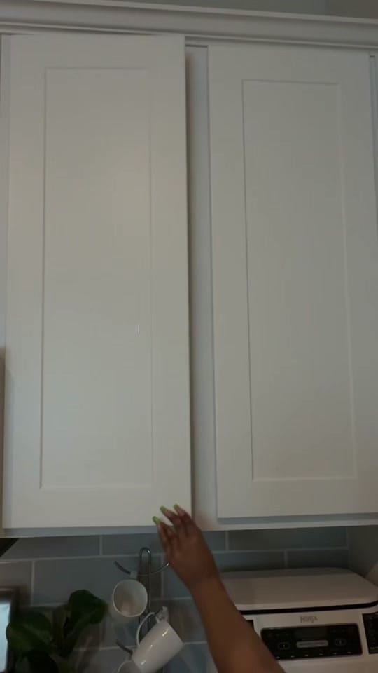 Post 3 by thetricemarie on TikTok (video)