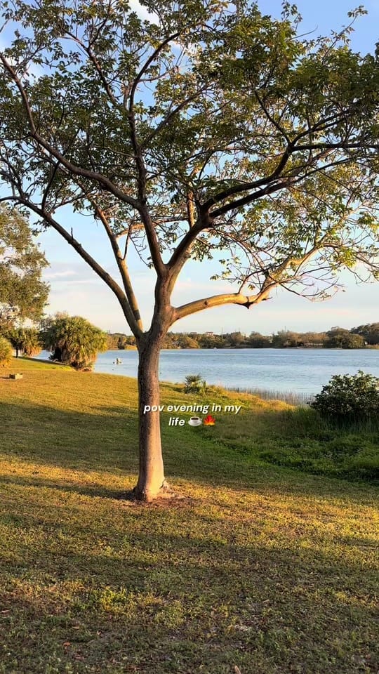 Post 6 by 222 | LIFESTYLE CREATOR on TikTok (video)