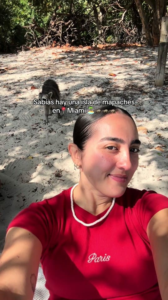 Post 4 by paolamorenou_ on TikTok (video)