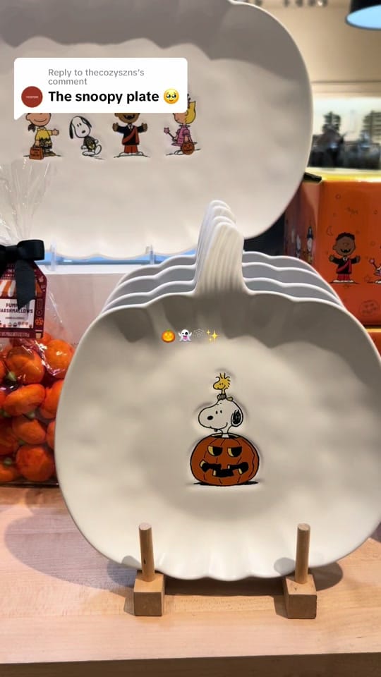 Post 8 by _blancalizzy on TikTok (video)