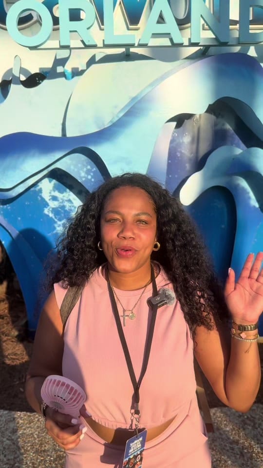 Post 8 by Bri’s Heat on TikTok (video)