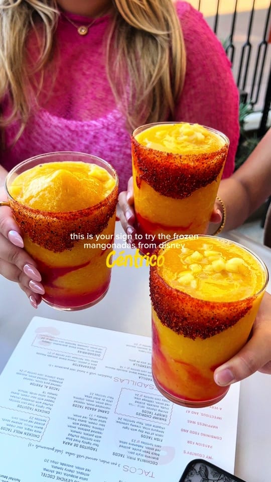 Post 5 by Jessica Lizarraga on TikTok (video)