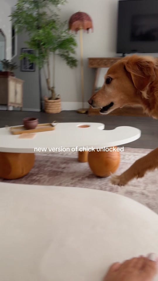 Post 1 by alyssa & coby on TikTok (video)