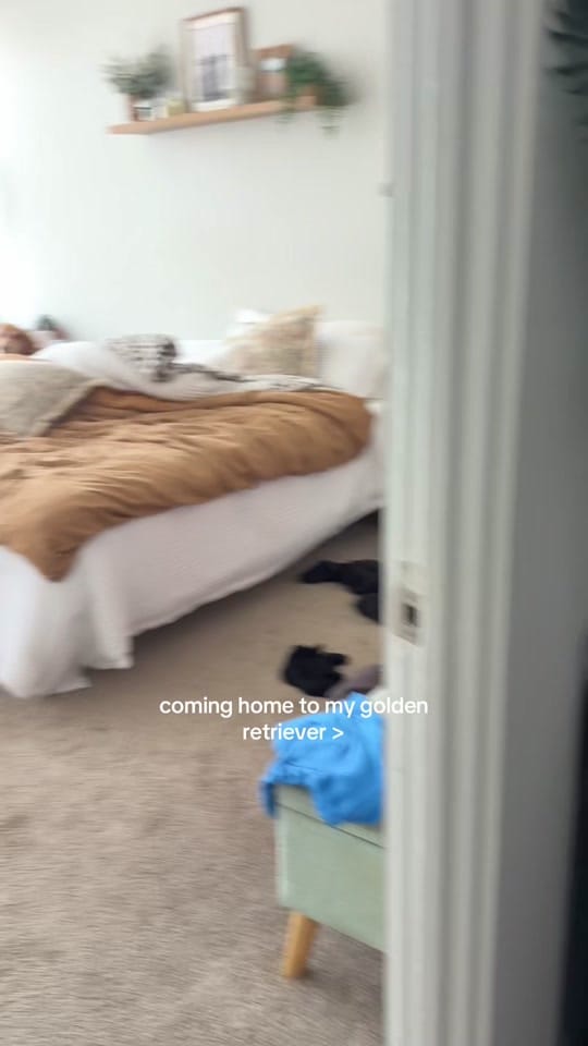 Post 6 by alyssa & coby on TikTok (video)