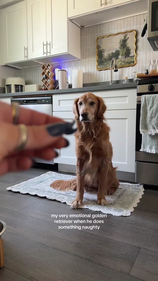 Post 9 by alyssa & coby on TikTok (video)