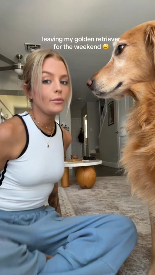 Post 5 by alyssa & coby on TikTok (video)