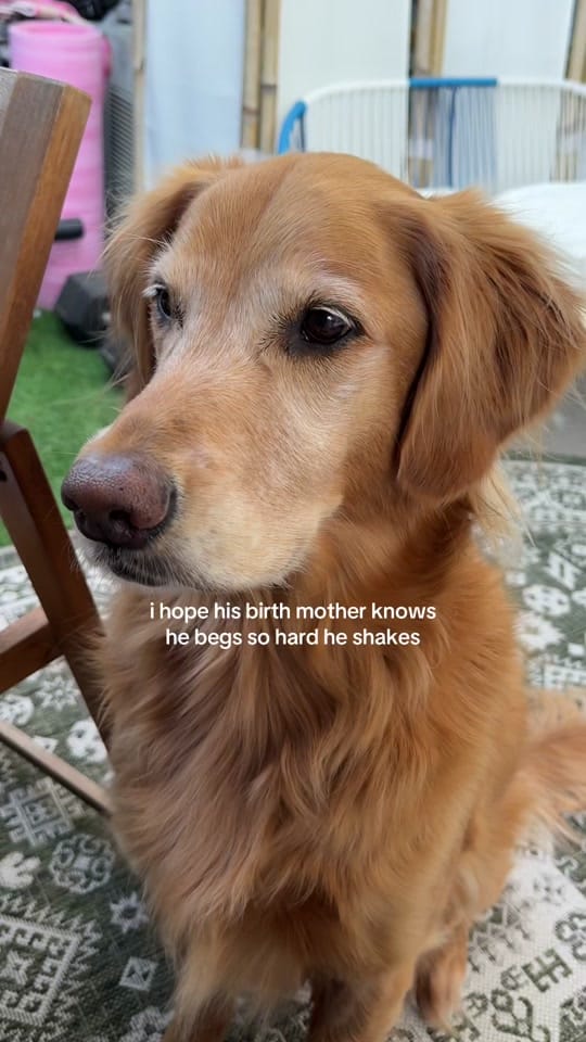 Post 7 by alyssa & coby on TikTok (video)