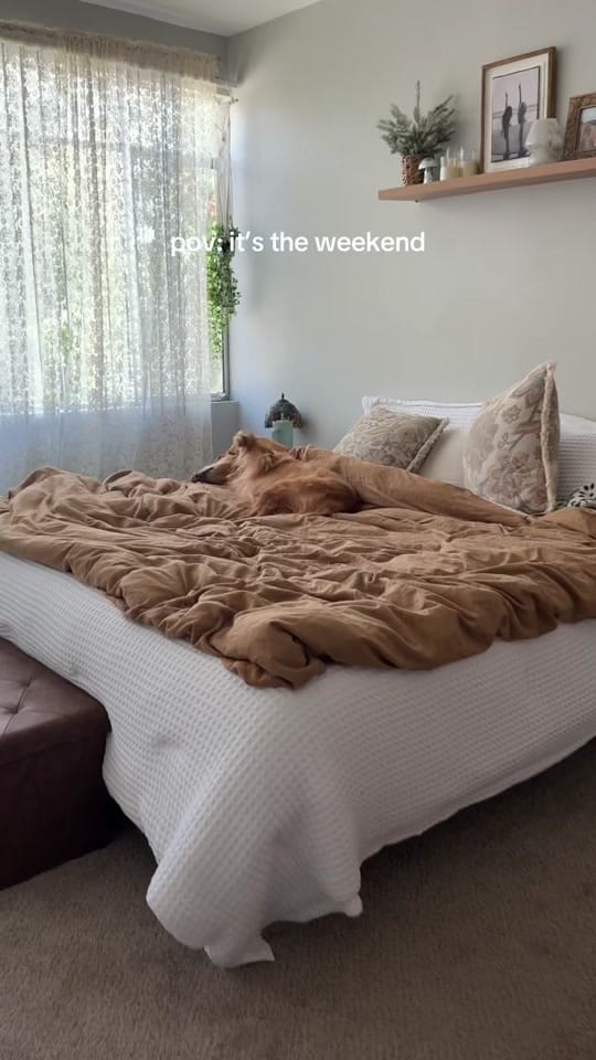 Post 2 by alyssa & coby on TikTok (video)