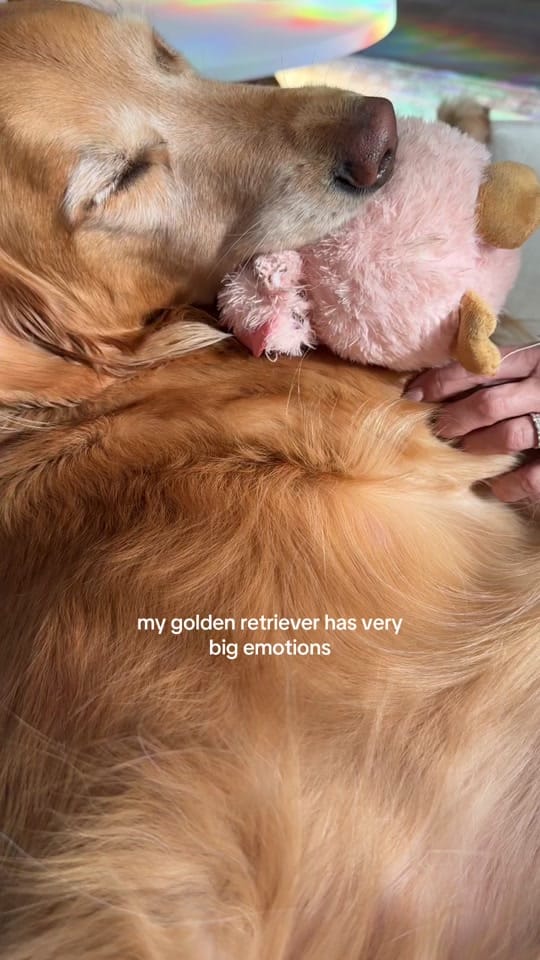 Post 3 by alyssa & coby on TikTok (video)