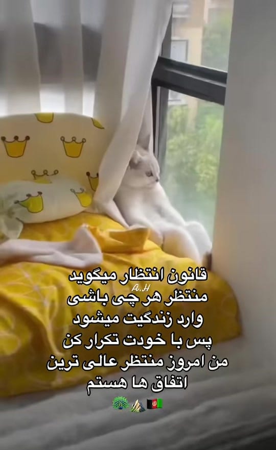Post 1 by کوهنوردعایشه on TikTok (video)