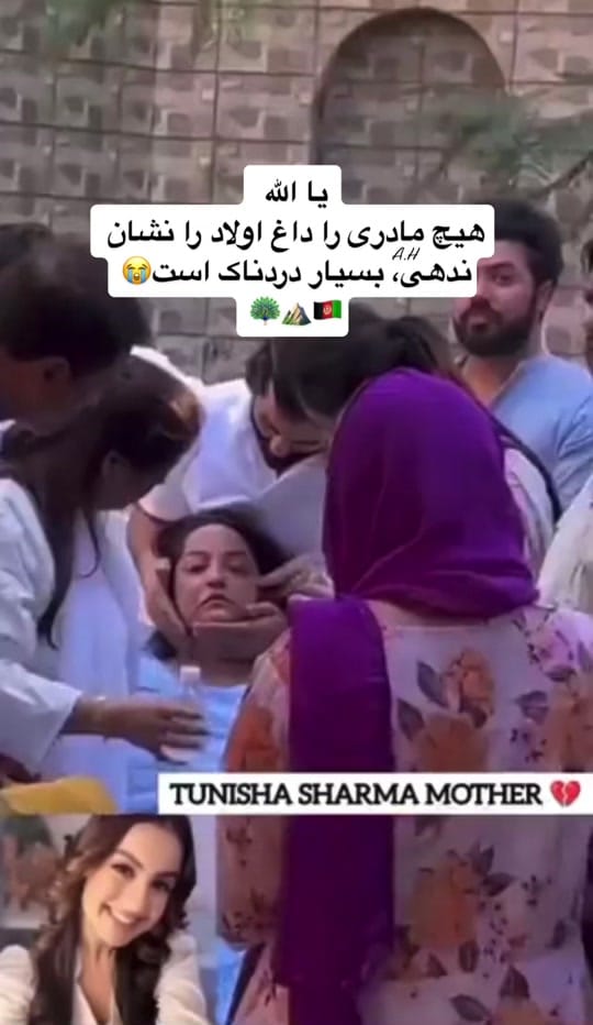 Post 9 by کوهنوردعایشه on TikTok (video)