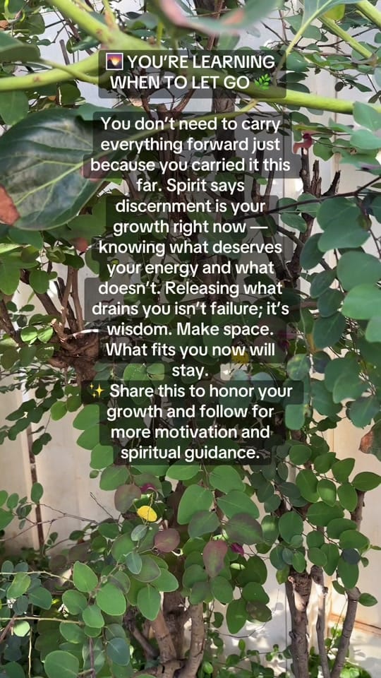 Post 5 by ❌Good Karma Creations❌ on TikTok (video)