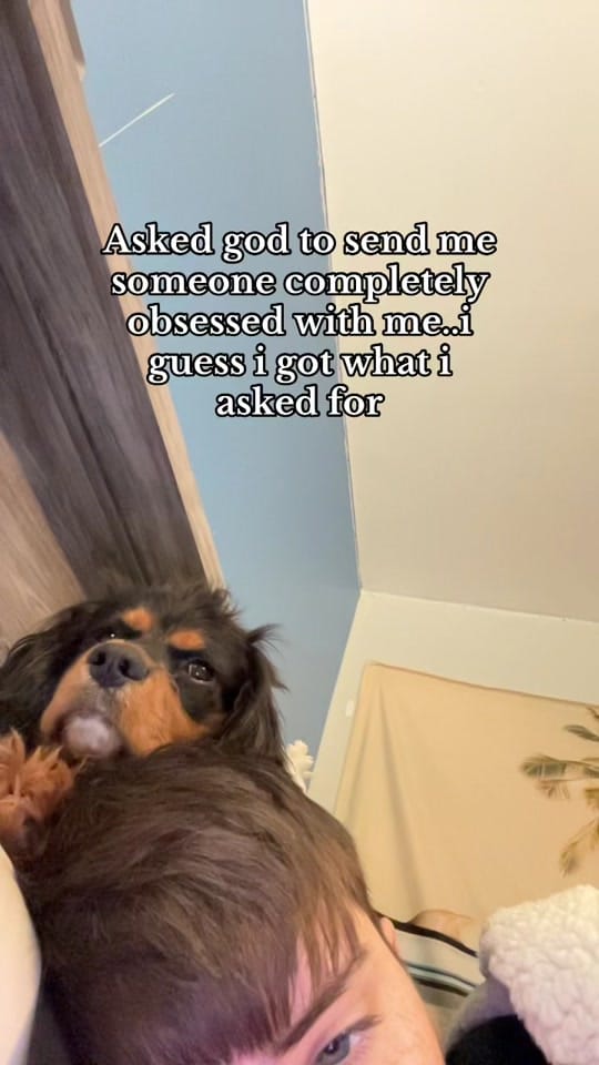 Post 9 by Holliewilton on TikTok (video)