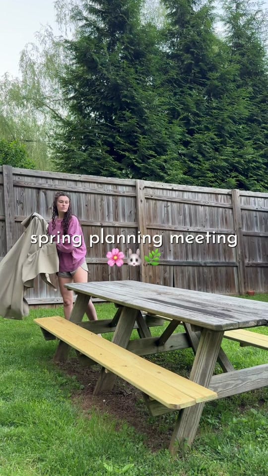 Post 6 by Lauren McCarthy on TikTok (video)