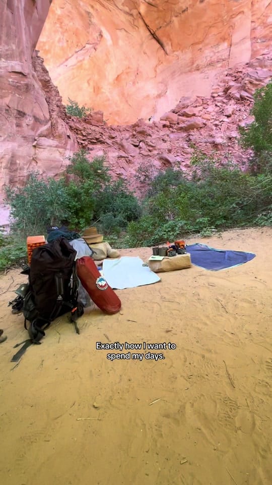 Post 7 by Cassidy 🌈🦋🌲 on TikTok (video)