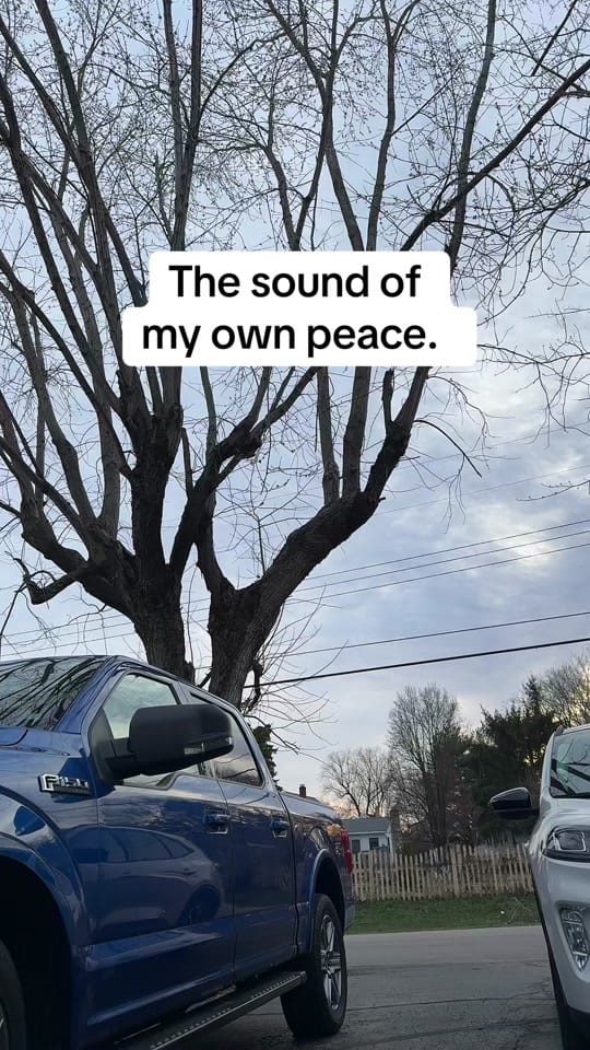 Post 1 by Krystal W. on TikTok (video)