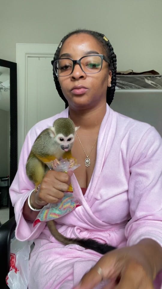 Post 9 by Tempestt Nikole on TikTok (video)