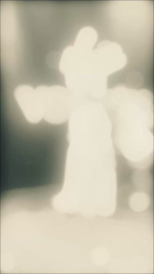 Post 6 by Ilona Nesterova on TikTok (video)