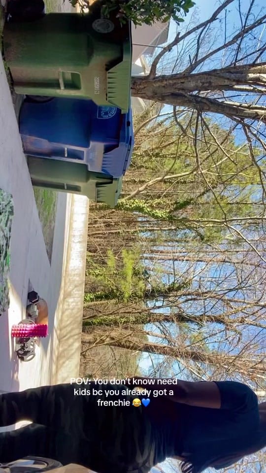 Post 3 by DestinyImani on TikTok (video)