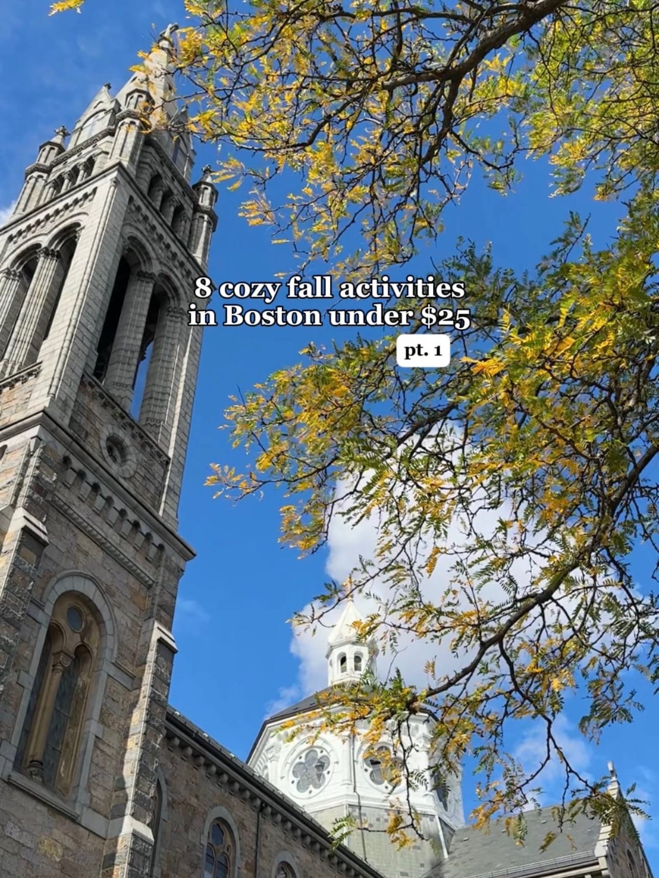 Post 8 by Ayanna | Boston creator on TikTok (video)