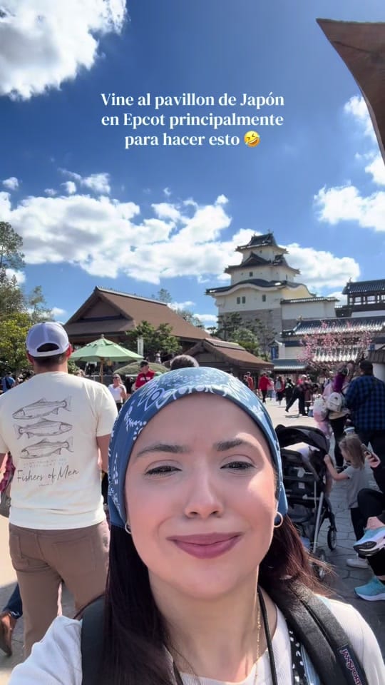 Post 3 by Robin Lee on TikTok (video)