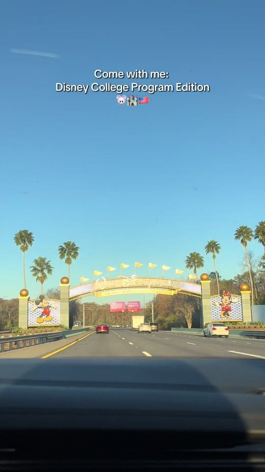 Post 4 by Robin Lee on TikTok (video)