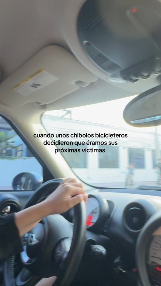 Post 7 by camila vertiz on TikTok (video)